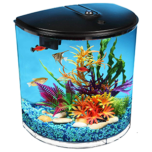 Aquariums and Fish Bowls